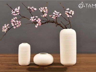 Bình hoa gốm trắng cao cấp vân tròn nổi CE-BG-05